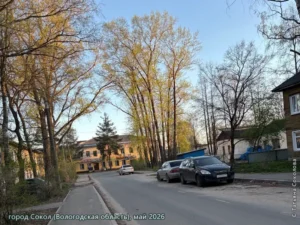 город Сокол, май 2026 г.