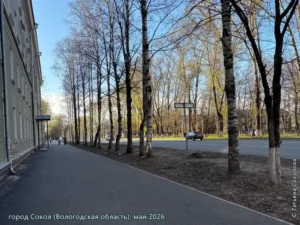 город Сокол, май 2026 г.