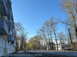 город Сокол, май 2026 г.