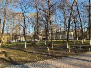 город Сокол, май 2026 г.