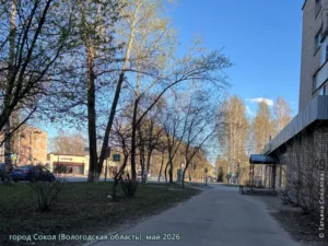 город Сокол, май 2026 г.