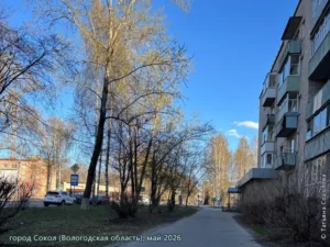 город Сокол, май 2026 г.