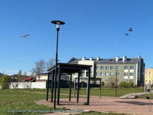город Сокол, май 2026 г.