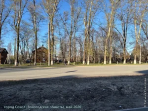 город Сокол, май 2026 г.
