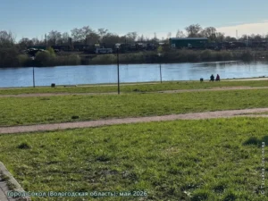 город Сокол, май 2026 г.