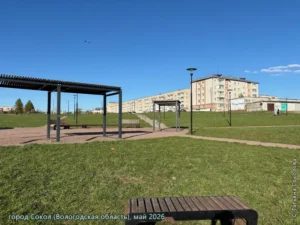 город Сокол, май 2026 г.
