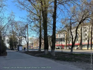 город Сокол, май 2026 г.