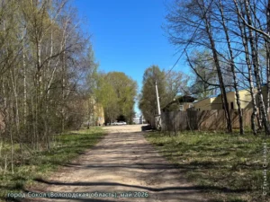 город Сокол, май 2026 г.