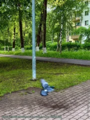 В сквере (город Сокол), фото 2026 г.