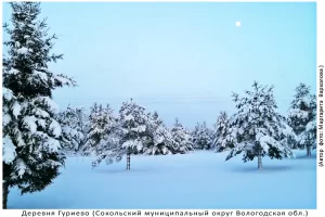 Деревня Гуриево