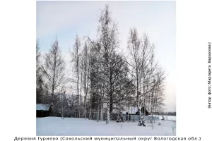 Деревня Гуриево