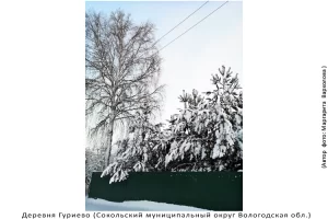 Деревня Гуриево